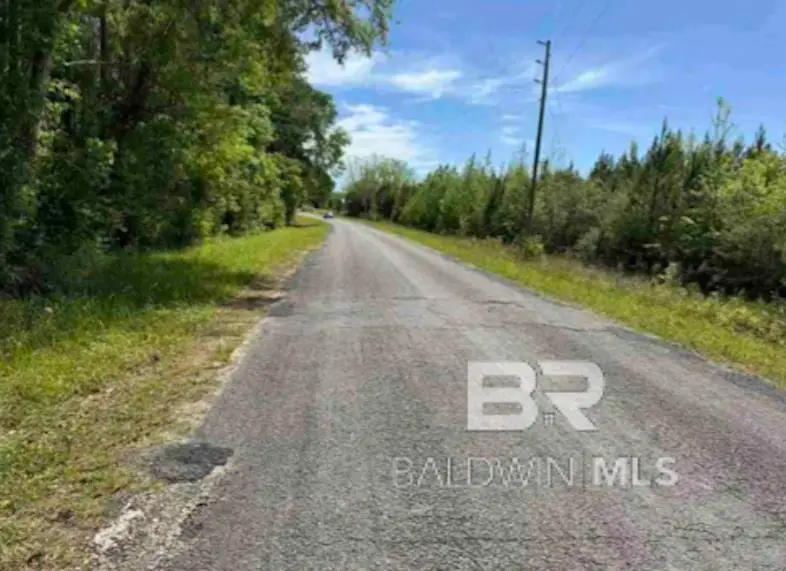0 Horace Odom Road, Millry, AL 36558 - Image #2