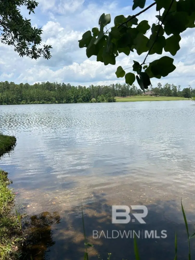 0 Lake Juniper Road, Brewton, AL 36426 - Image #1