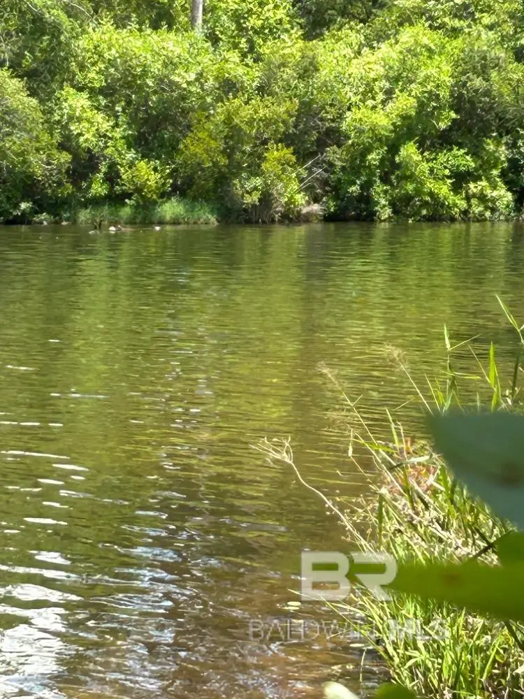 0 Lake Juniper Road, Brewton, AL 36426 - Image #2