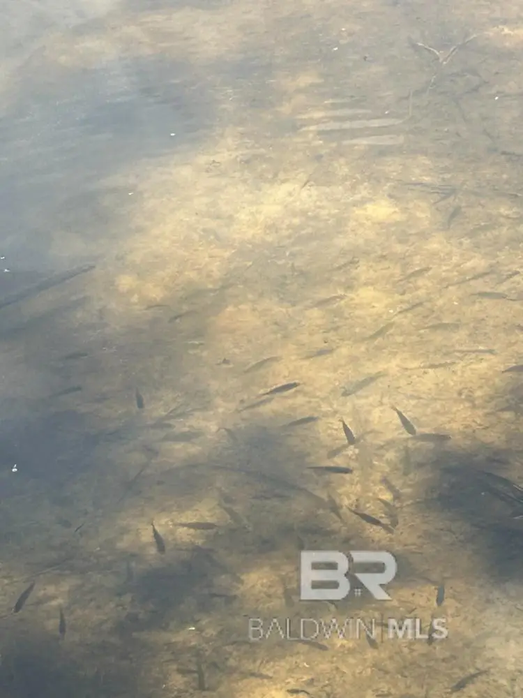 0 Lake Juniper Road, Brewton, AL 36426 - Image #3