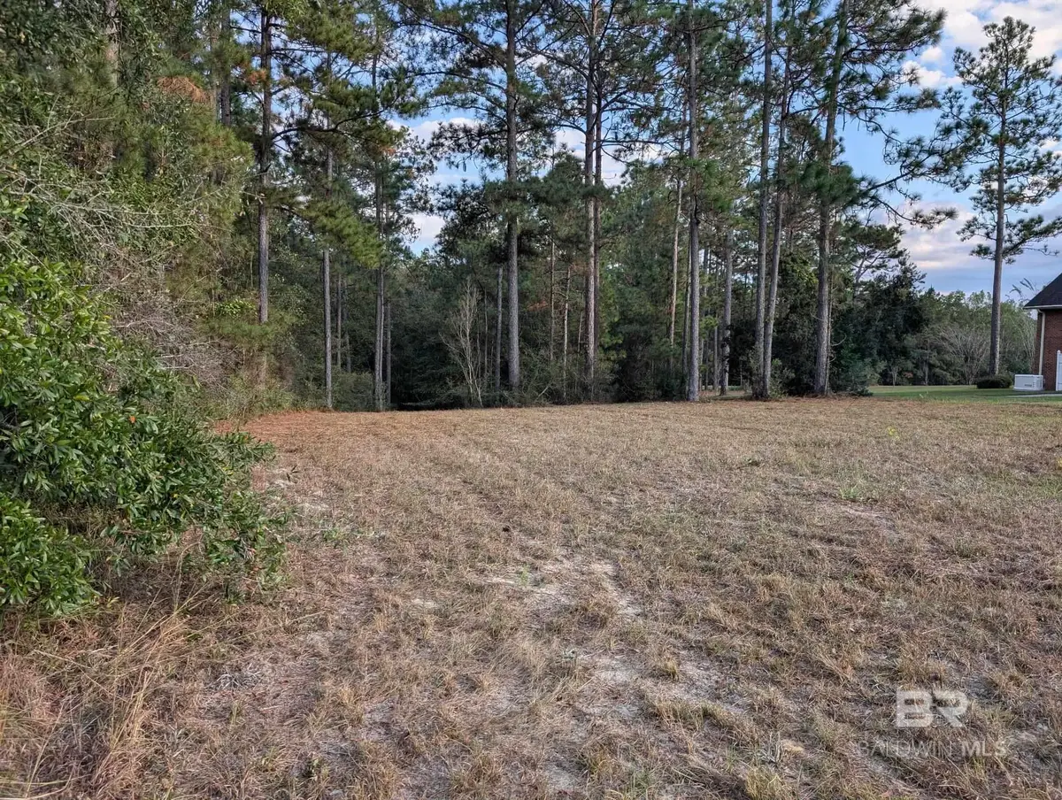 245 Juniper Creek Drive, Brewton, AL 36426 - Image #1