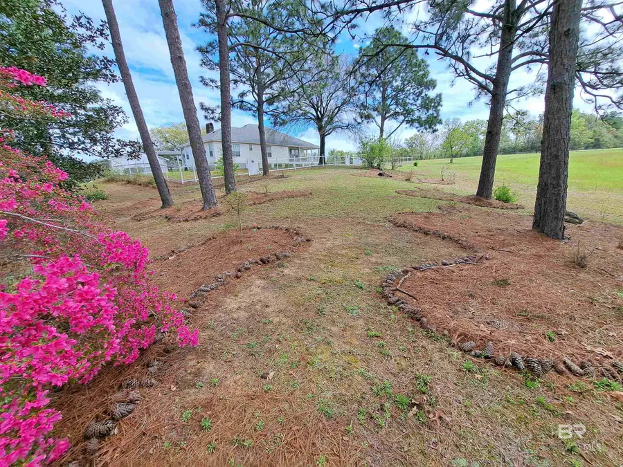 7650 Iron Rush Road, Wilmer, AL 36587 - Image #3