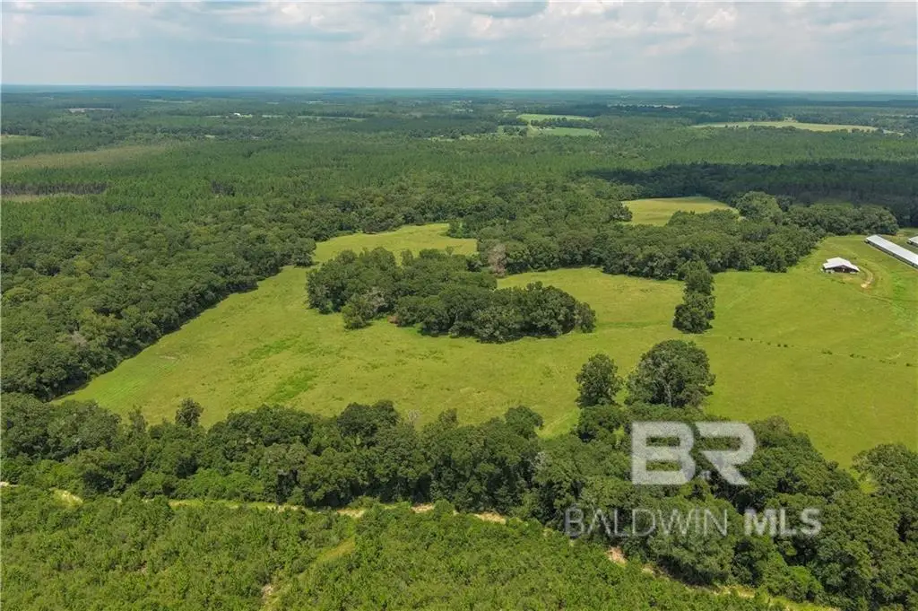 0 Circle R Farm Drive, Florala, AL 36442 - Image #1