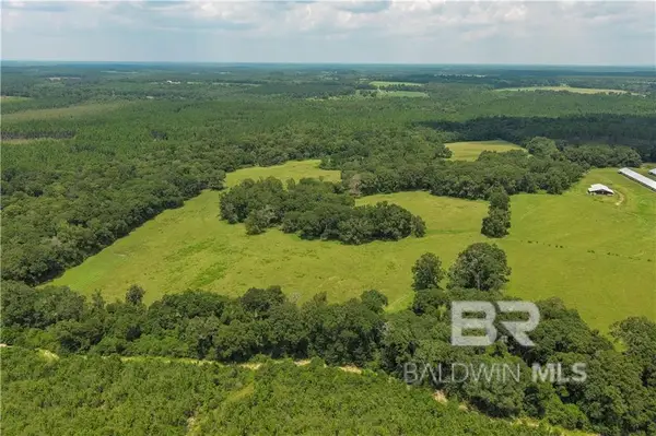 0 Circle R Farm Drive, Florala, AL 36442
