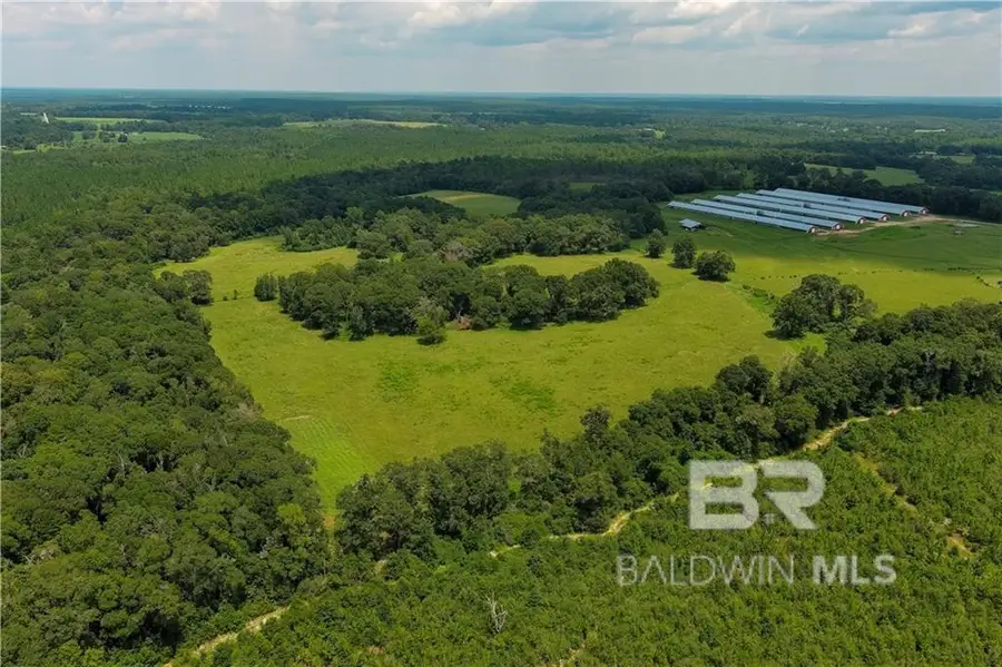 0 Circle R Farm Drive, Florala, AL 36442 - Image #2