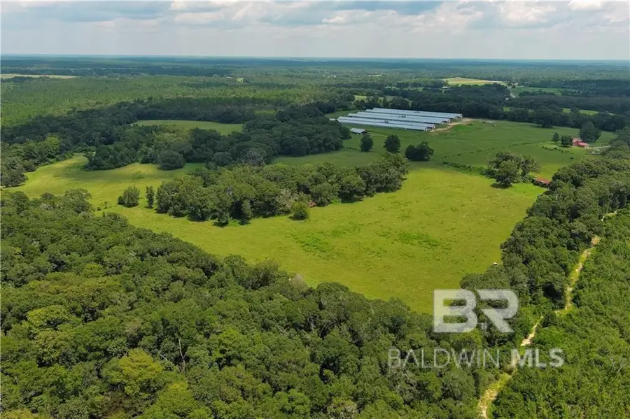 0 Circle R Farm Drive, Florala, AL 36442 - Image #3