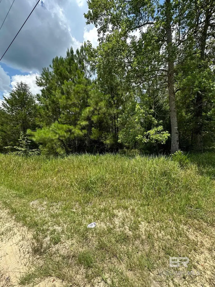 10385 Army Rd Extension, Chunchula, AL 36521 - Image #2