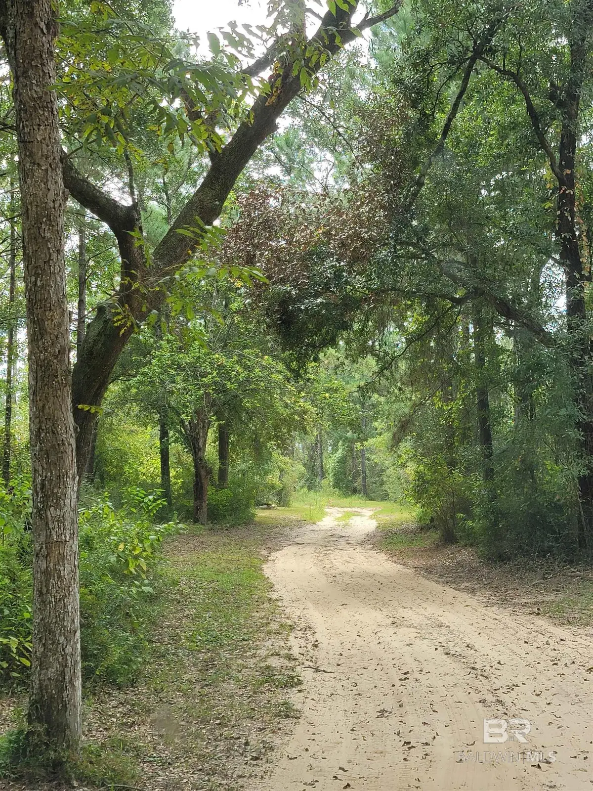 17505 Hansel Hodges Road, Elberta, AL 36530 - Image #1