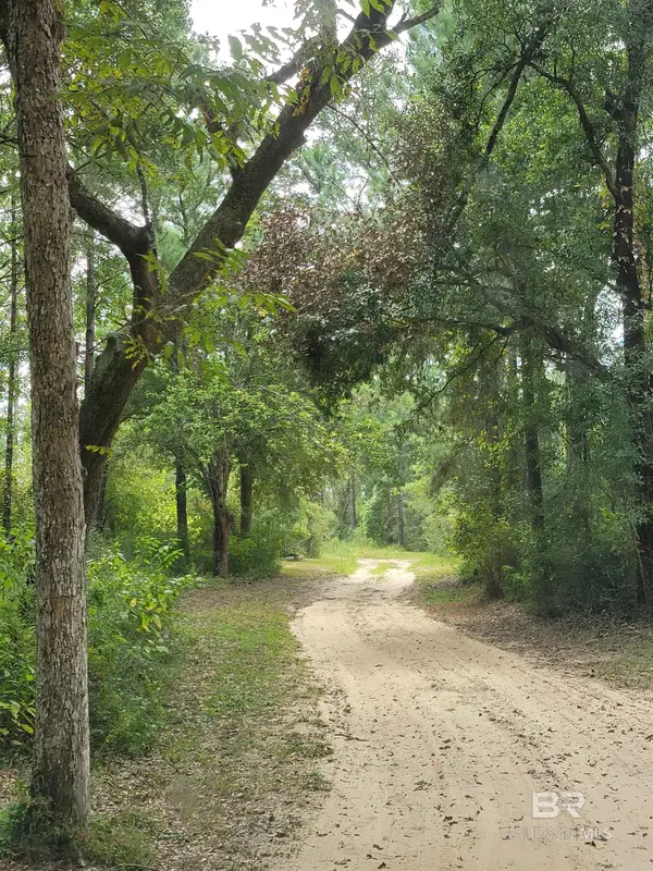 17505 Hansel Hodges Road, Elberta, AL 36530