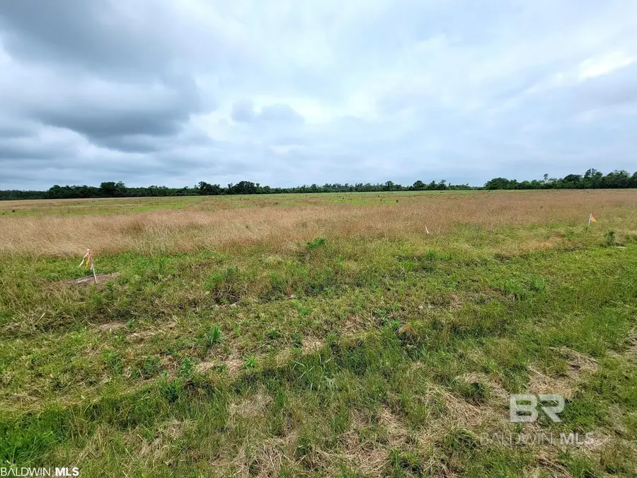 0 County Road 16, Foley, AL 36535 - Image #2