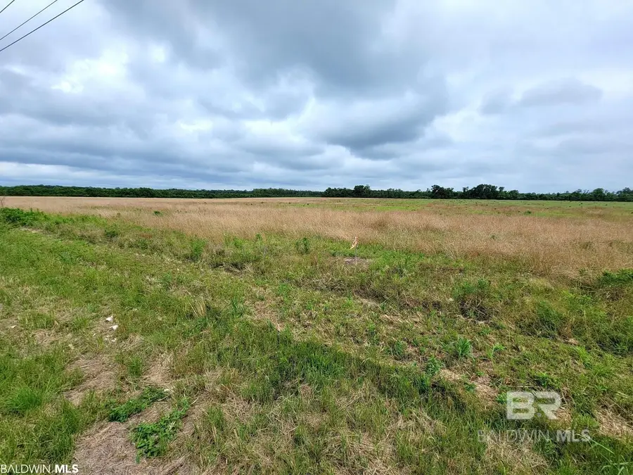0 County Road 16, Foley, AL 36535 - Image #3
