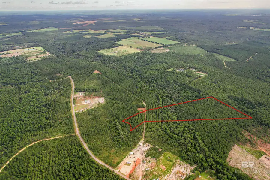 0 Dry Branch Lane, Robertsdale, AL 36567 - Image #2