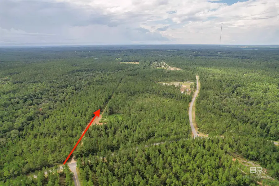 0 Dry Branch Lane, Robertsdale, AL 36567 - Image #3
