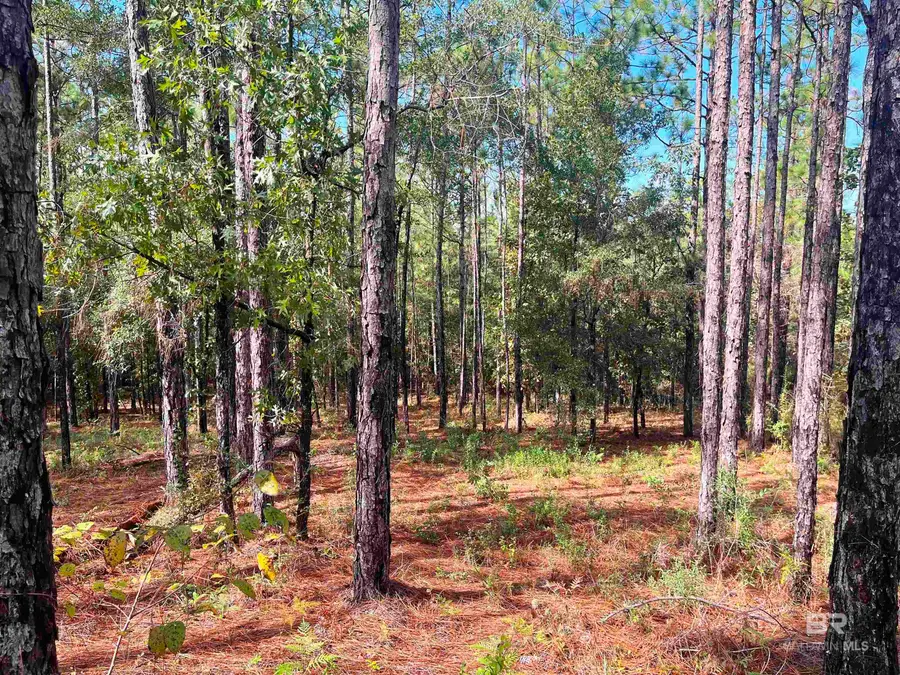 0 State Highway 225, Bay Minette, AL 36507 - #2