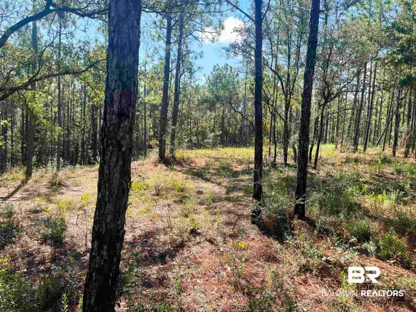 0 State Highway 225, Bay Minette, AL 36507
