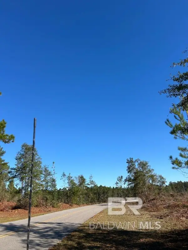 0 Blackwater Road, Brewton, AL 36426