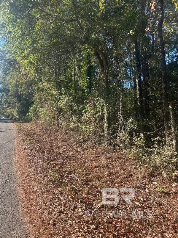 0 Lee Street, Castleberry, AL 36432