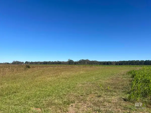 4900 Block Highway 97, Walnut Hill, FL 32568