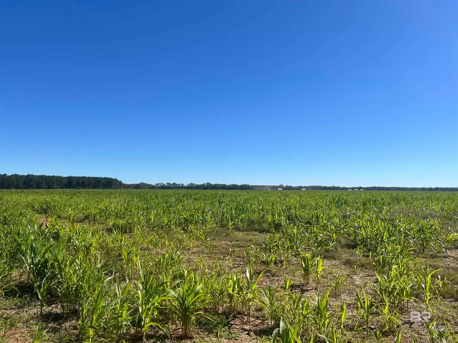 4900 Block Highway 97, Walnut Hill, FL 32568 - #2