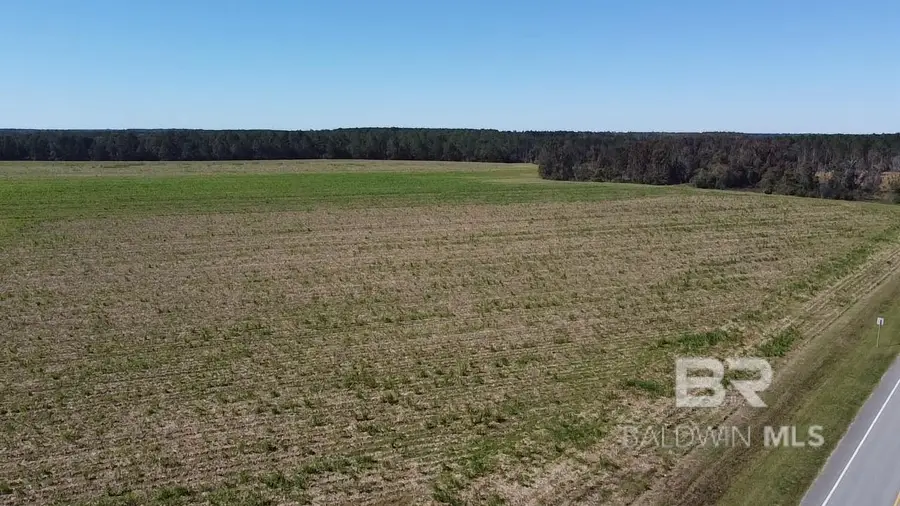 5600 Block Highway 97, Walnut Hill, FL 32568 - #2