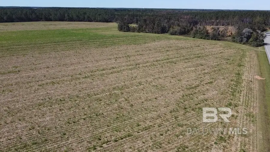 5600 Block Highway 97, Walnut Hill, FL 32568 - #3