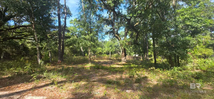 12540 3rd Avenue, Foley, AL 36535 - Image #3