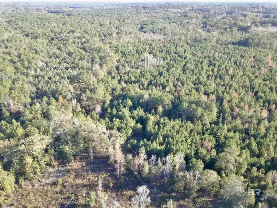 72510 State Highway 59, Little River, AL 36550 - Image #3