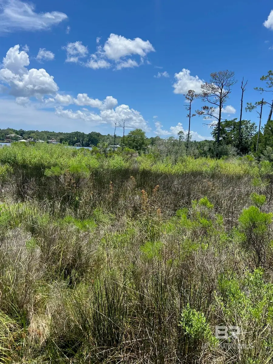 9037 Bay Point Drive, Elberta, AL 36530 - Image #2