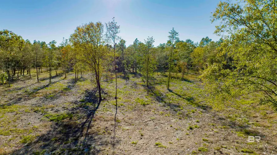 0 County Road 95, Elberta, AL 36530 - Image #3