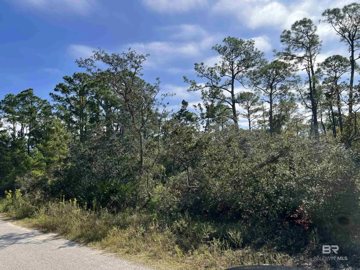 9037 State Highway 180, Gulf Shores, AL 36542 - Image #1