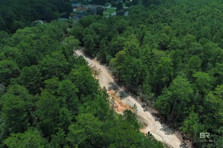 0 Schillinger Road, Mobile, AL 36695 - Image #3