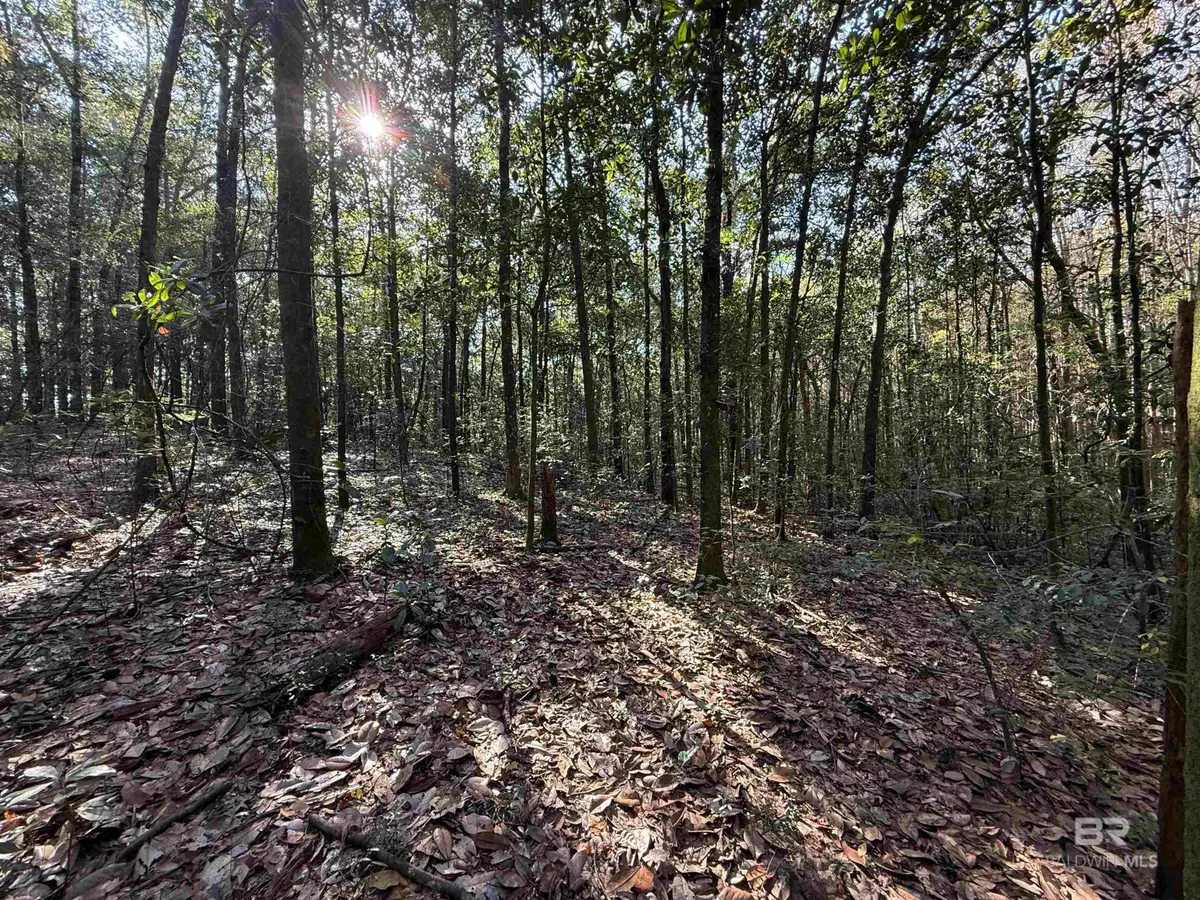 0 Youngstowne Drive, Semmes, AL 36575 - Image #1