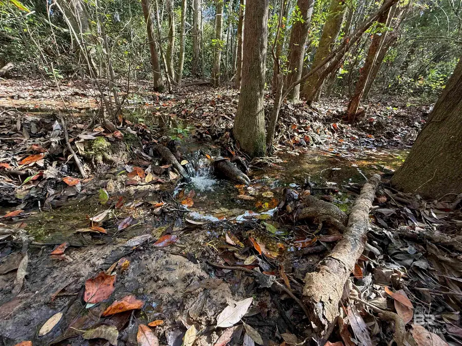 0 Youngstowne Drive, Semmes, AL 36575 - Image #2