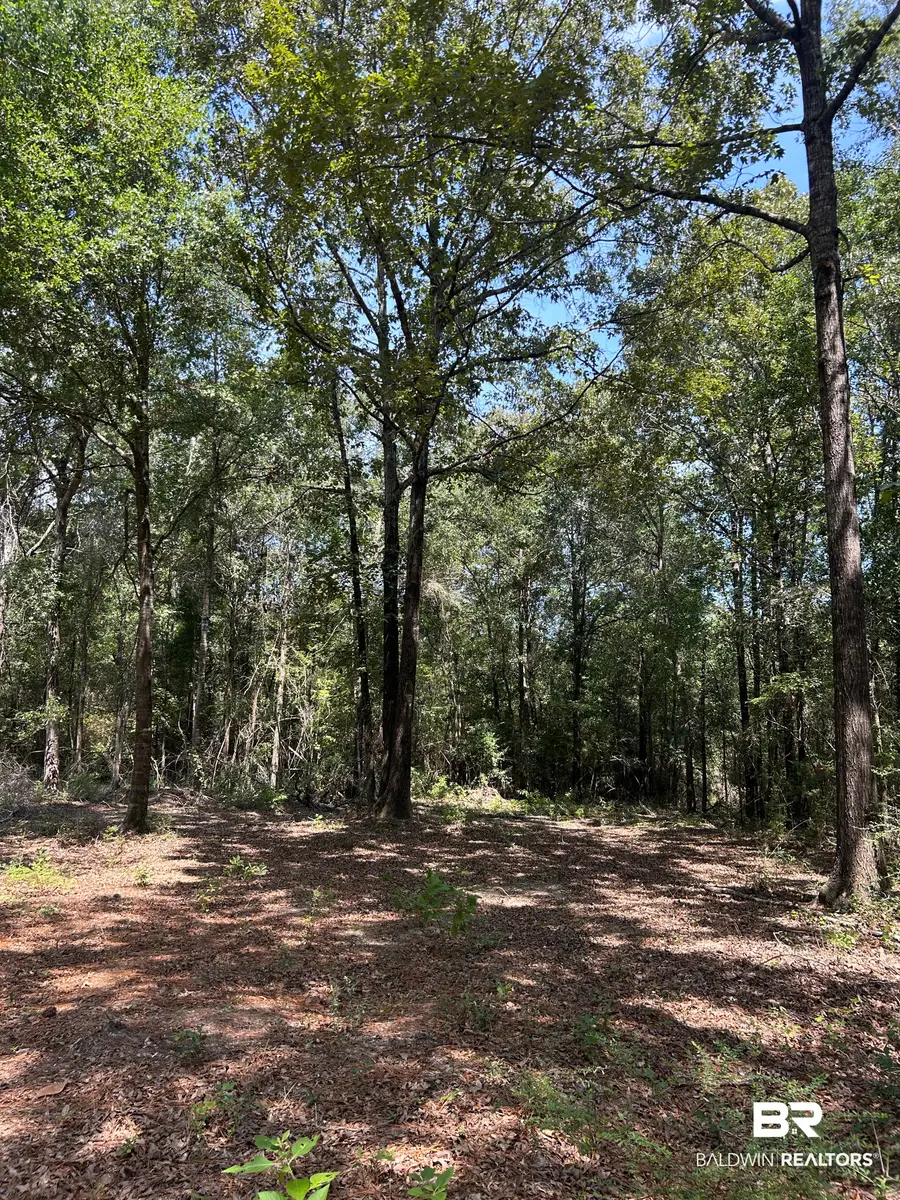 0 Dixie Road, Brewton, AL 36426 - #3