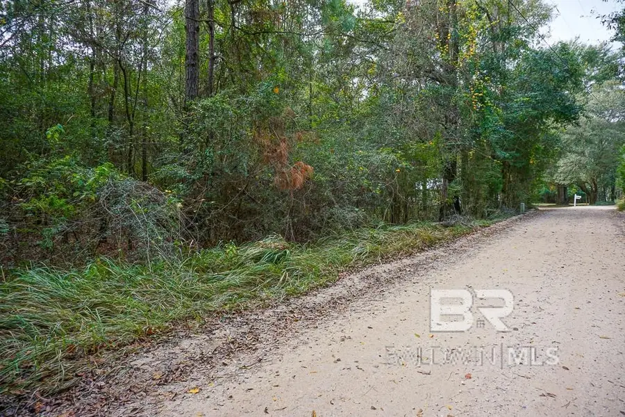 0 Smith Young Road, Mobile, AL 36695 - Image #2