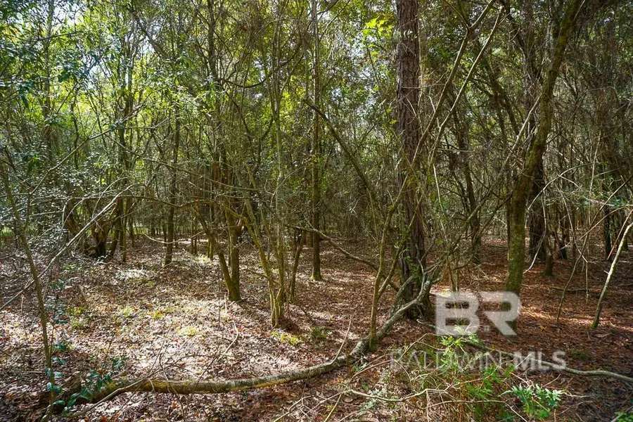 0 Smith Young Road, Mobile, AL 36695 - Image #3