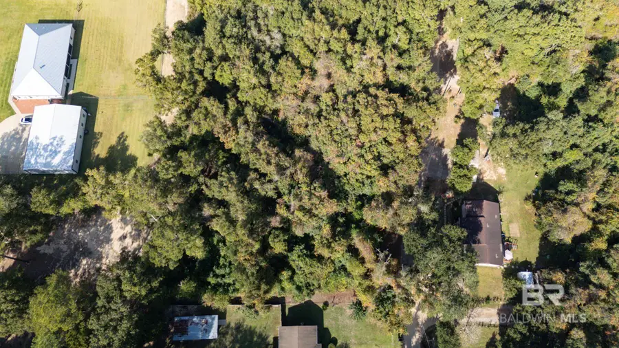 0 Wilson Lane, Fairhope, AL 36532 - Image #3