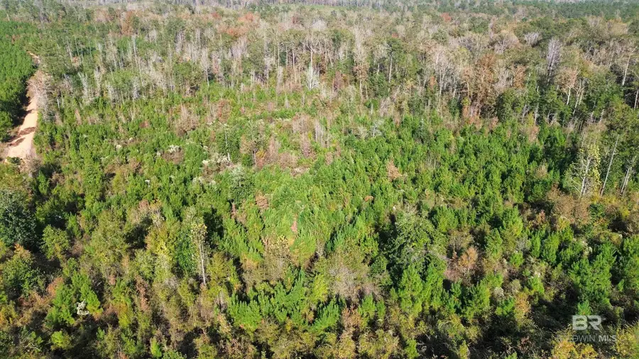 159 Dakota Road, McKenzie, AL 36456 - Image #2