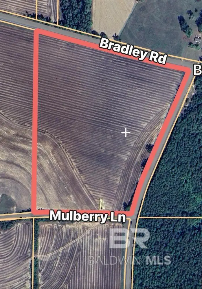 0 Bradley Road, Brewton, AL 36426 - Image #1