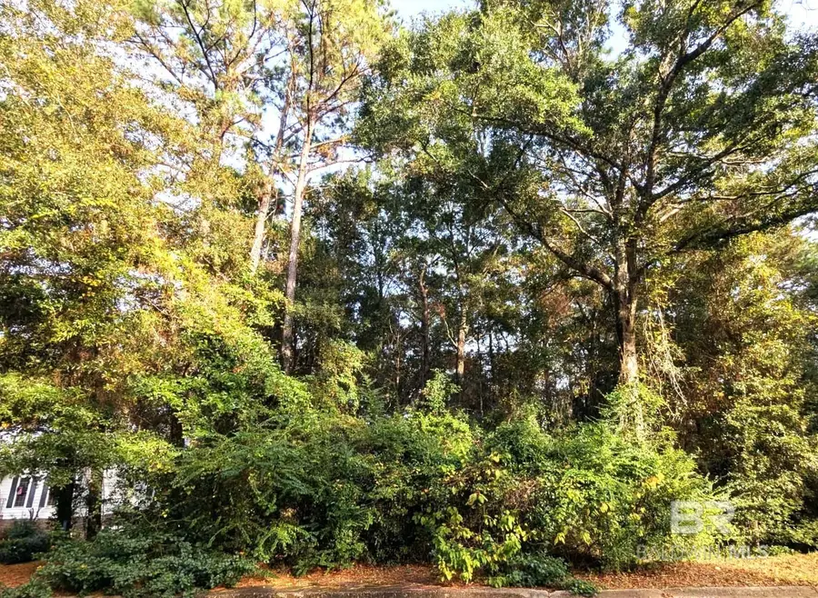 0 Montrose Woods Drive, Fairhope, AL 36532 - #2