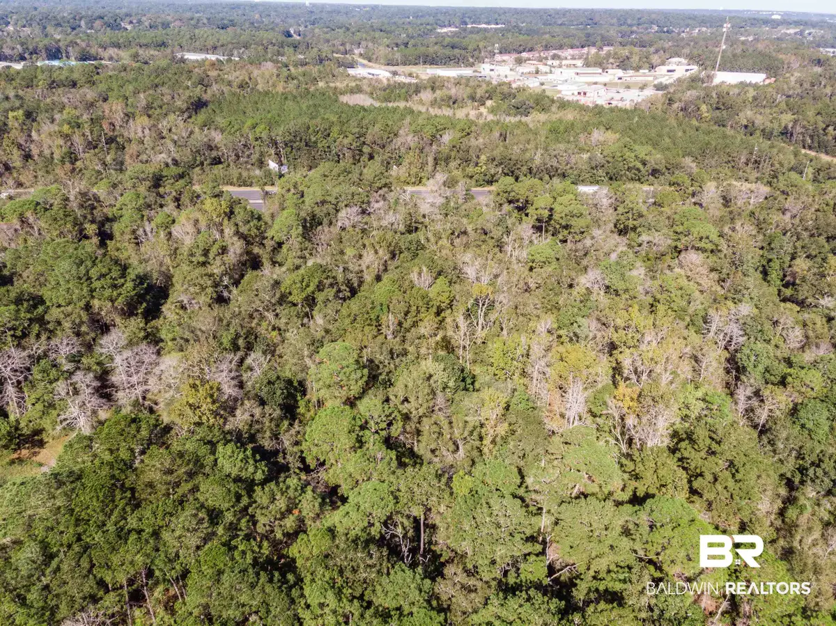 0 Rosie's Rd, Mobile, AL 36693 - #1