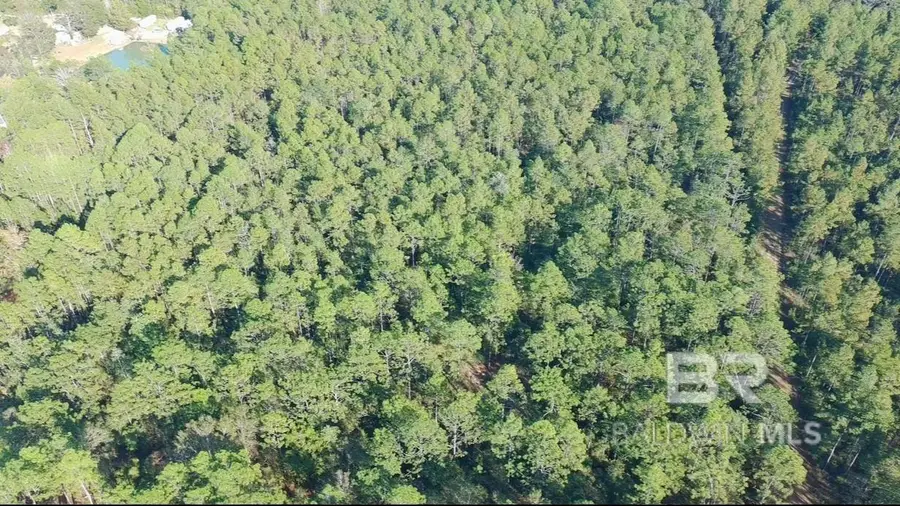 0 Patterson Road, Robertsdale, AL 36567 - Image #2