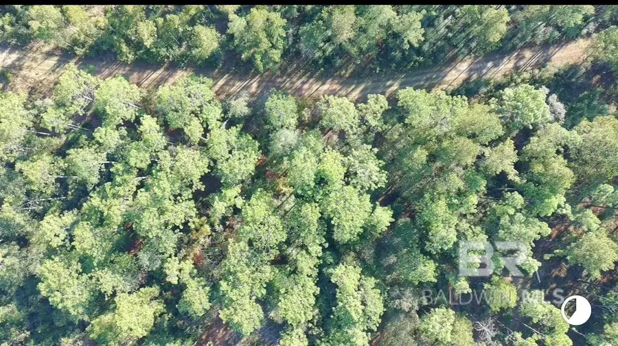 0 Patterson Road, Robertsdale, AL 36567 - Image #3