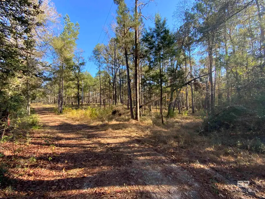 10 Drinkard Road, Bay Minette, AL 36507 - Image #2