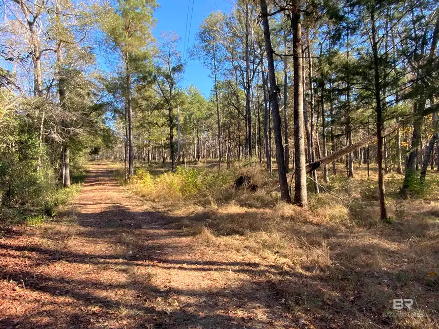 10 Drinkard Road, Bay Minette, AL 36507 - Image #3