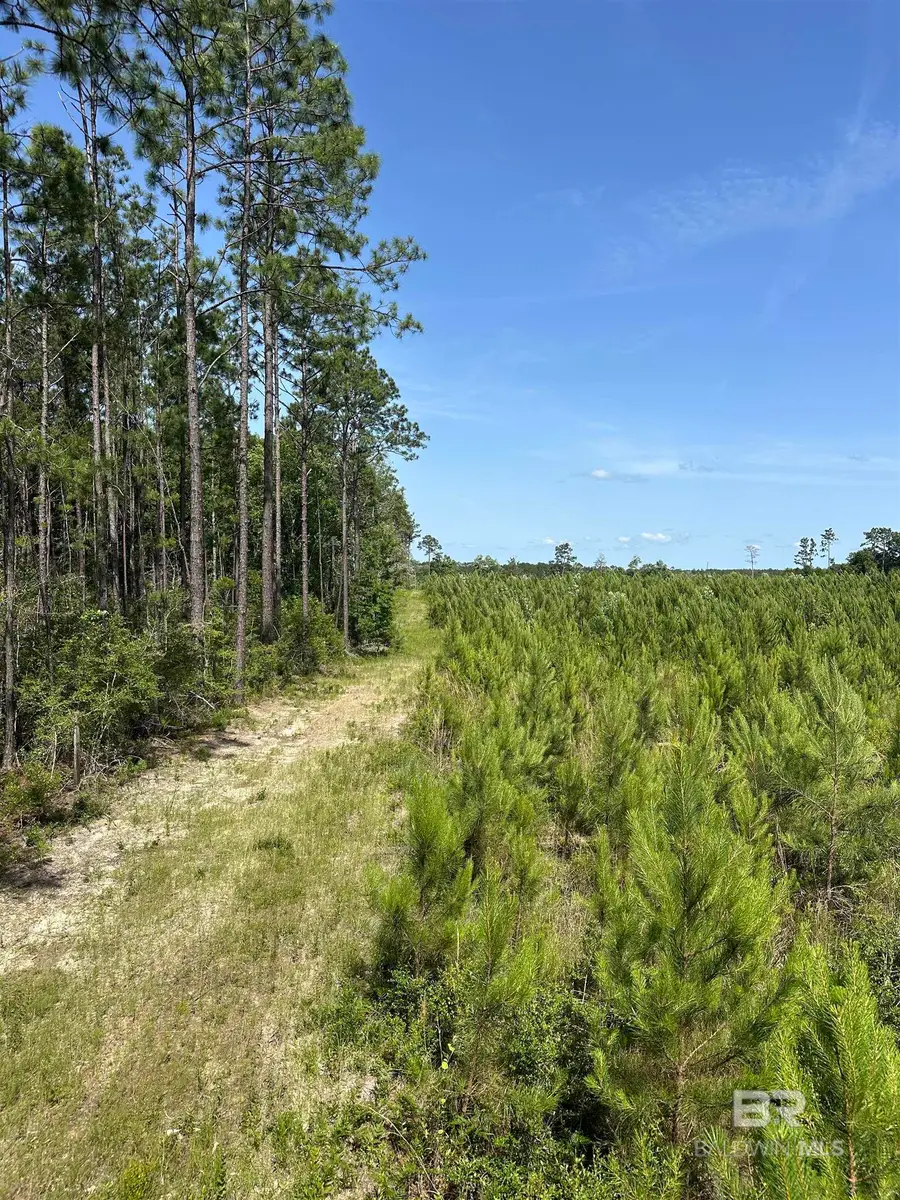 0 County Road 87, Robertsdale, AL 36567 - Image #3