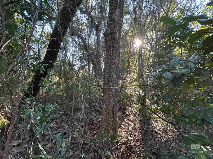 0 Bayou Shores Drive, Coden, AL 36523 - Image #3