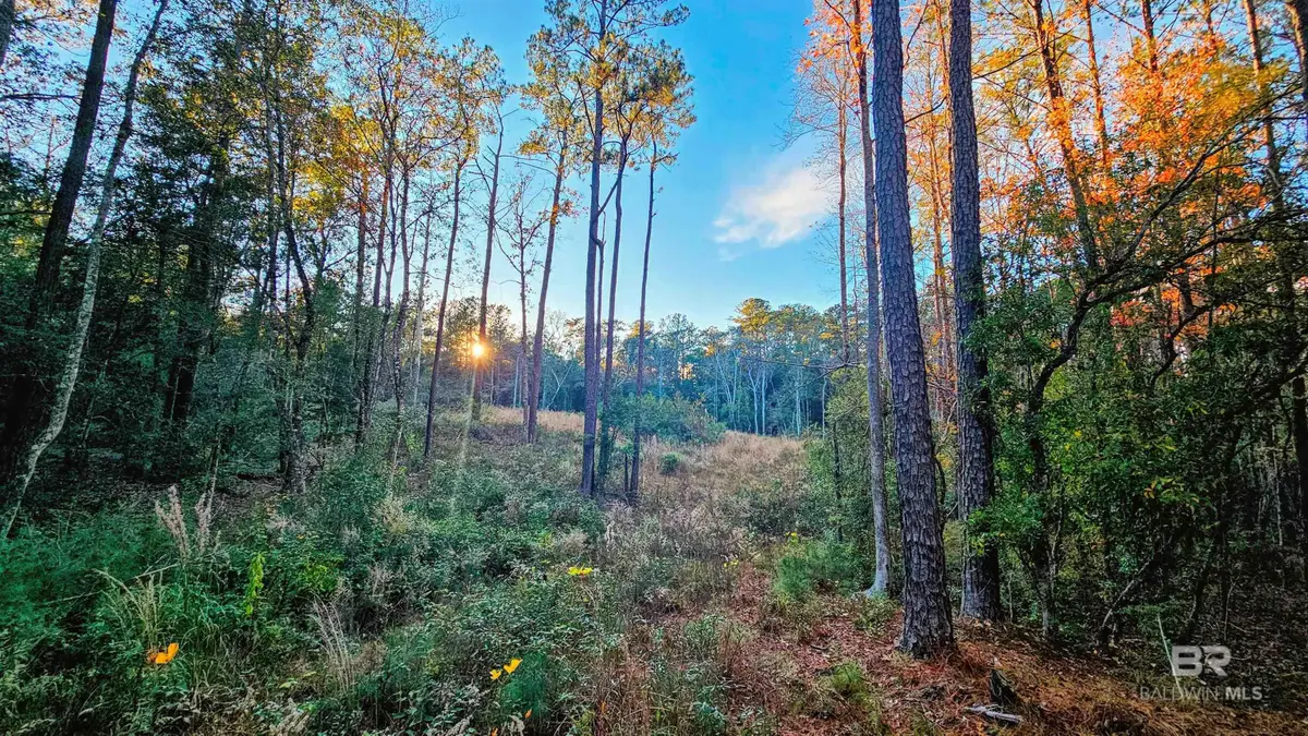 7418 Bromley Road, Bay Minette, AL 36507 - Image #1