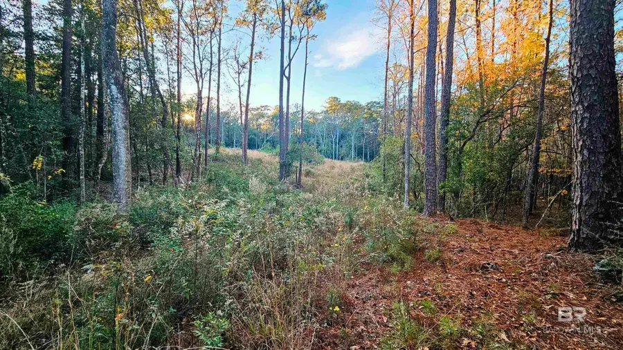 7418 Bromley Road, Bay Minette, AL 36507 - Image #3