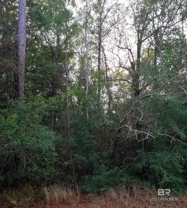 00 Us Highway 98, Elberta, AL 36530